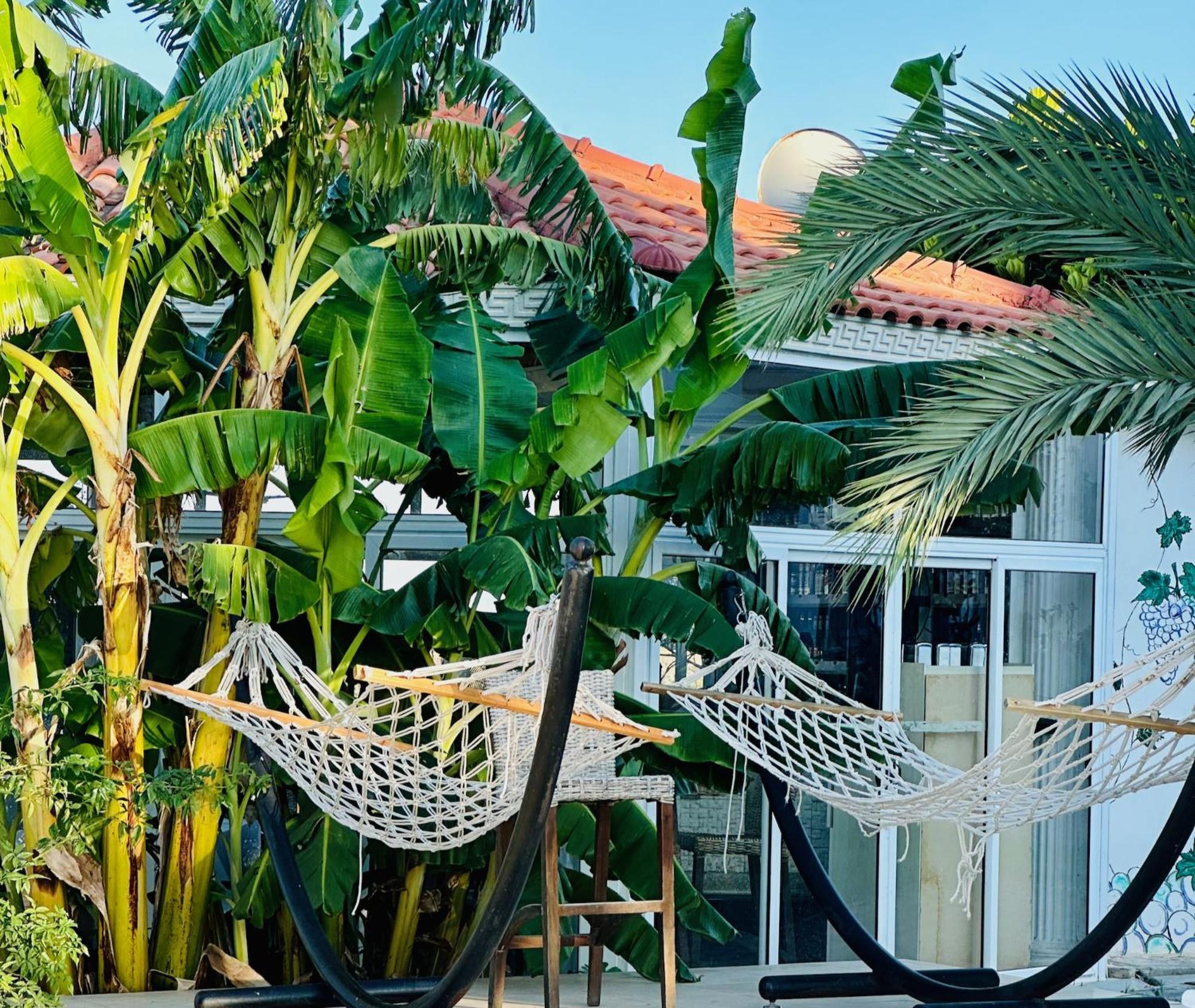 פמגוסטה Celebi Garden Hotel - Cittaslow Retreat מראה חיצוני תמונה