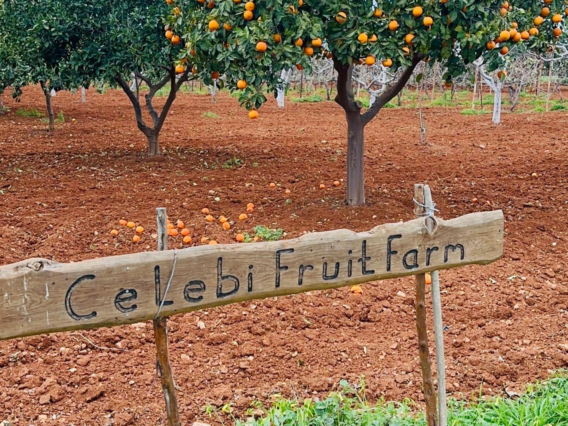 פמגוסטה Celebi Garden Hotel - Cittaslow Retreat מראה חיצוני תמונה