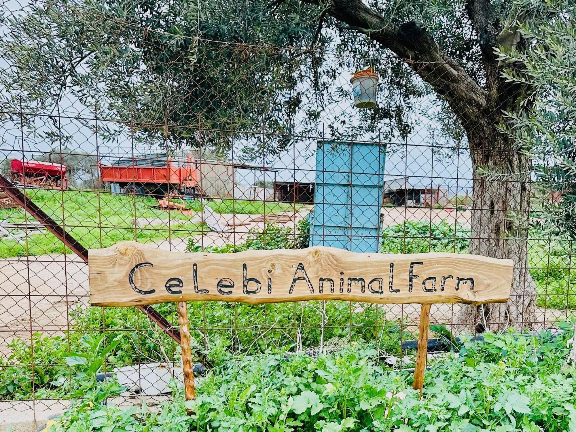 פמגוסטה Celebi Garden Hotel - Cittaslow Retreat מראה חיצוני תמונה