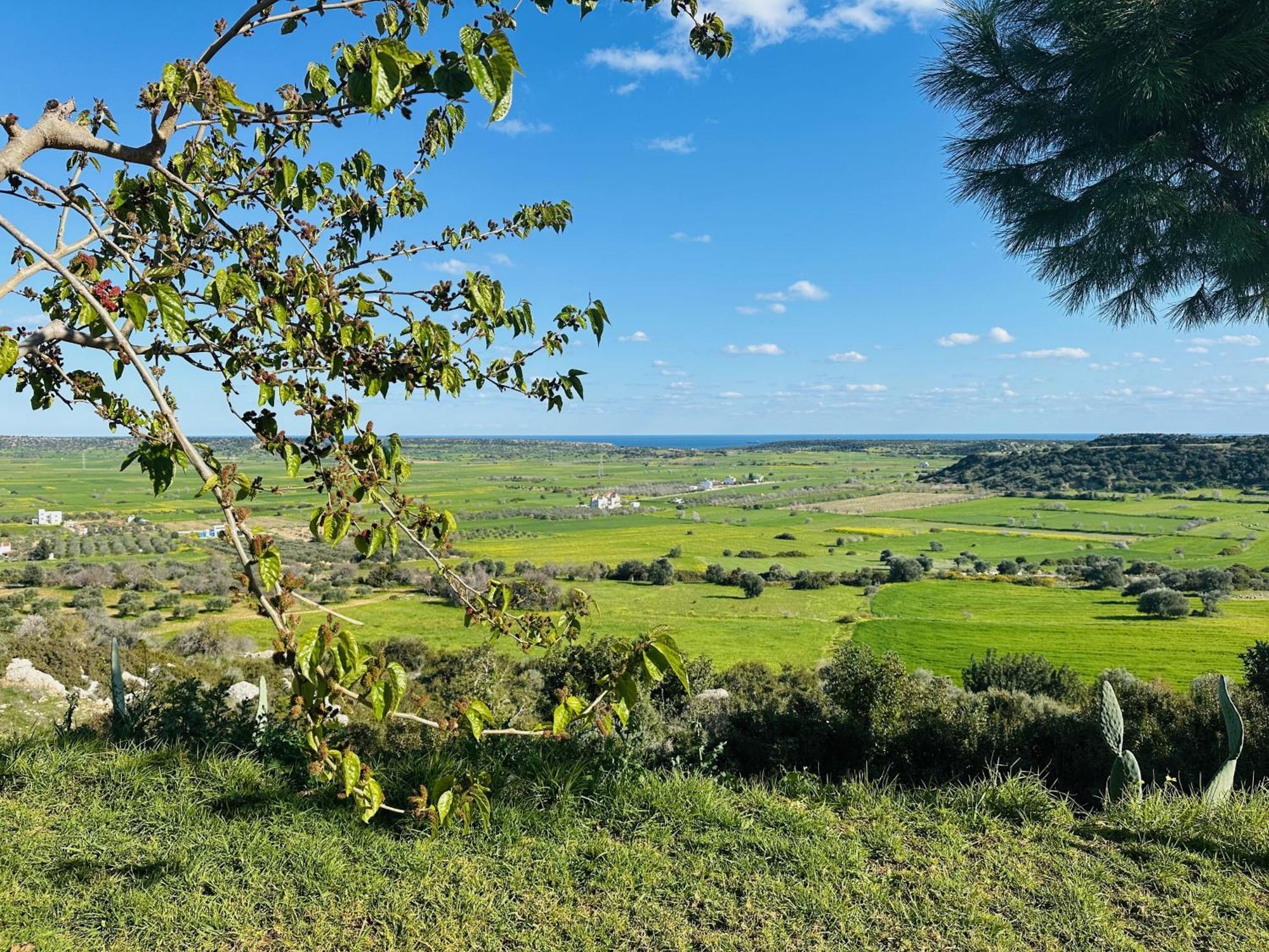 פמגוסטה Celebi Garden Hotel - Cittaslow Retreat מראה חיצוני תמונה